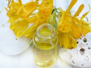 Read more about the article Honeysuckle Essential Oil: Health Benefits & Uses