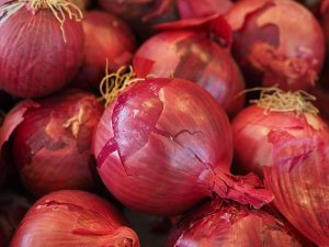 Read more about the article 10 Health Benefits Of Onions