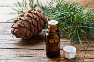 Read more about the article 8 Impressive Health Benefits Of Pine Essential Oil