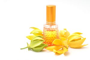 Read more about the article 8 Health Benefits Of Ylang-ylang  Essential Oil