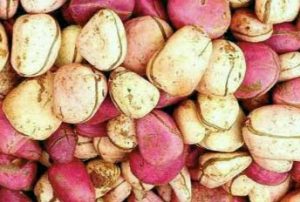 Read more about the article 8 Evidence-based Health Benefits Of Kola Nut