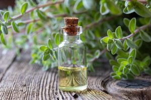 Read more about the article Marjoram Essential Oil, Benefits & Uses