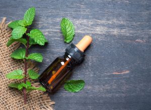 Read more about the article 10 Amazing Health Benefits Of Peppermint Oil