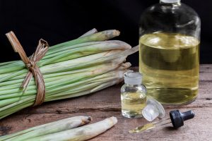 Read more about the article 11 Health Benefits Of  Pure Lemongrass essential Oil 