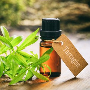 Read more about the article Pure Tarragon Essential Oil & Uses