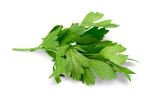 Read more about the article 10 Surprising Health Benefits Of Parsley