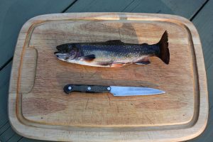 Read more about the article 10 Proven Health Benefits Of Rainbow Trout