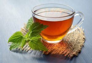 Read more about the article 10 Impressive Health Benefits Of Nettle Tea