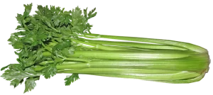 Read more about the article 12 Shocking Benefits Of Celery & Uses For Your Health