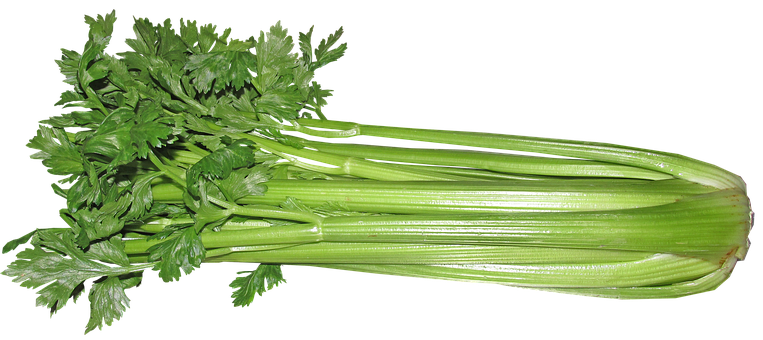 You are currently viewing 12 Shocking Benefits Of Celery & Uses For Your Health