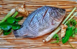 Read more about the article 10 Shocking Health Benefits Of Tilapia Fish For Your Brain