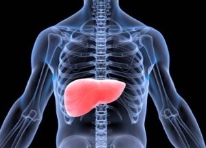 Read more about the article Liver Disease Remedies