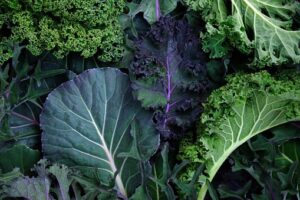 Read more about the article Do Leafy Green Vegetables Cure Ovarian Cancer